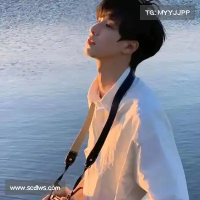 蓬宝蝶
